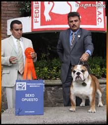 LA CHATA JUST FOR MY sigue cosechando Triunfos